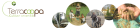 header_1.png